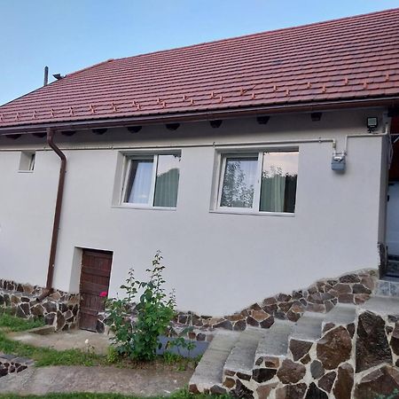 Villa Casa Schei Braşov Esterno foto