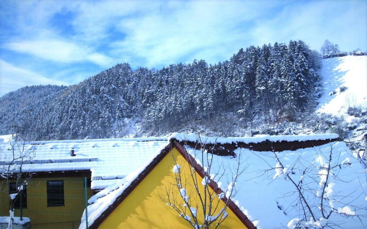 Villa Casa Schei Braşov Esterno foto